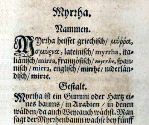 Kräuterbuch 1678 - Detail Seite 28