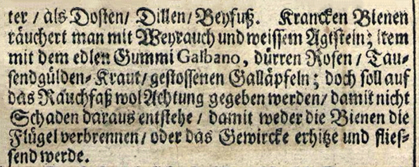 Weihrauch 1682 Hohberg - Detail
